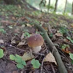 Campeggio Folwark Noclegowy W Nowej Morawie - Holenderka Na Wys 600 M Stronie Śląskie