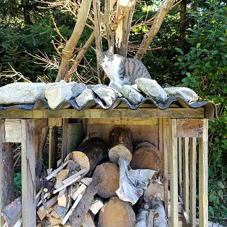 Folwark Noclegowy W Nowej Morawie - Holenderka Na Wys 600 M *