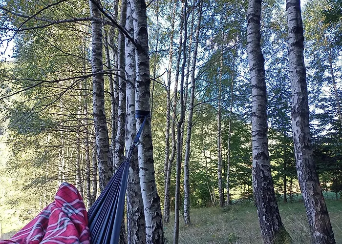 Folwark Noclegowy W Nowej Morawie - Holenderka Na Wys 600 M *