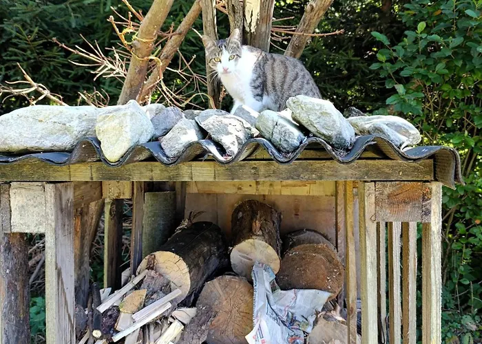 Folwark Noclegowy W Nowej Morawie - Holenderka Na Wys 600 M *